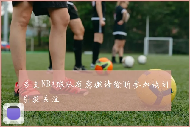 多支NBA球队有意邀请徐昕参加试训引发关注